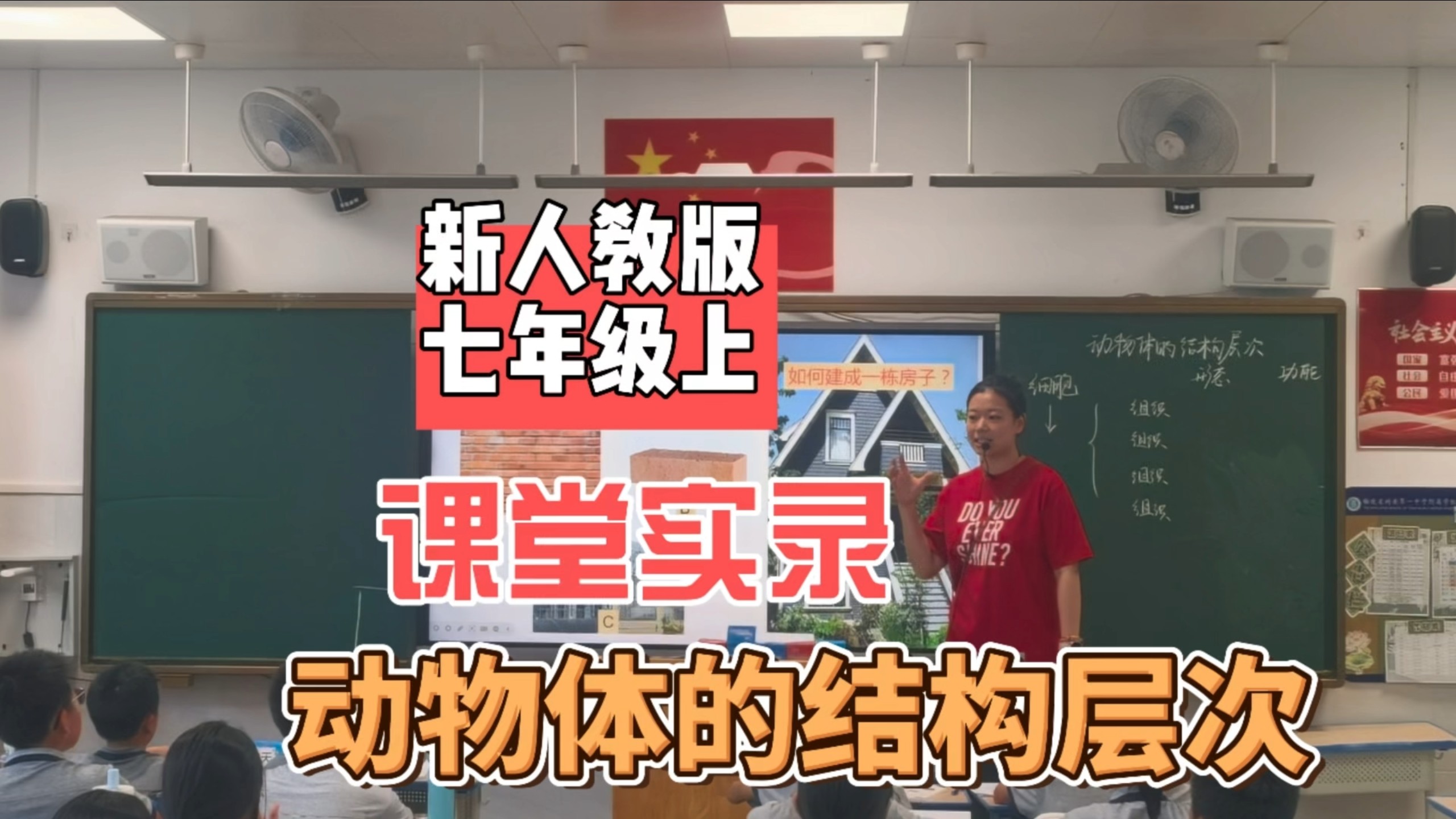 《动物体的结构层次》课堂实录2024新人教版七年级上册第三章第二节