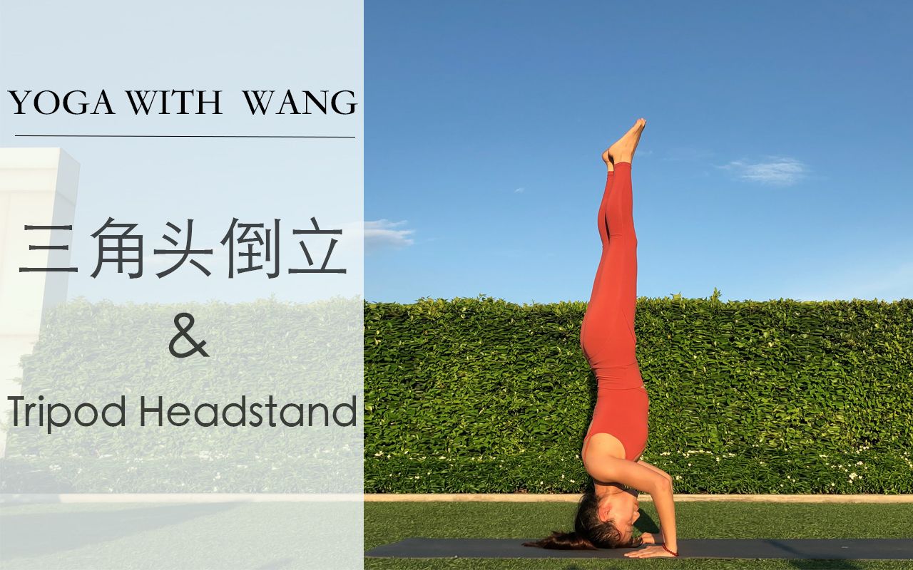 【yoga with wang 】瑜伽体式分享:三角头倒立—tripod headstand