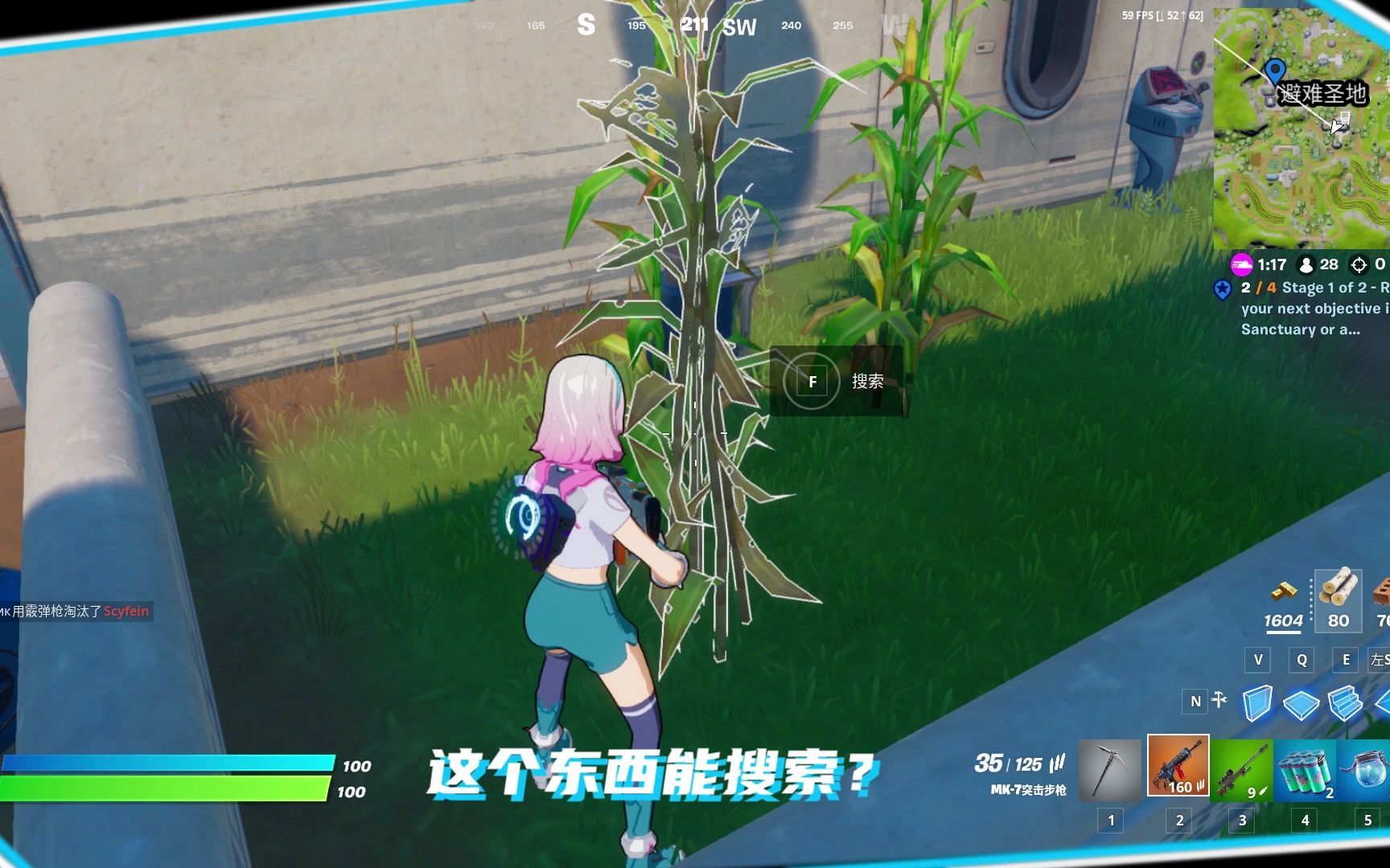 有谁注意到这些能搜索的植物了吗?FORTNITE