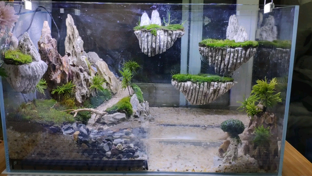 生态缸水陆缸～天空之城