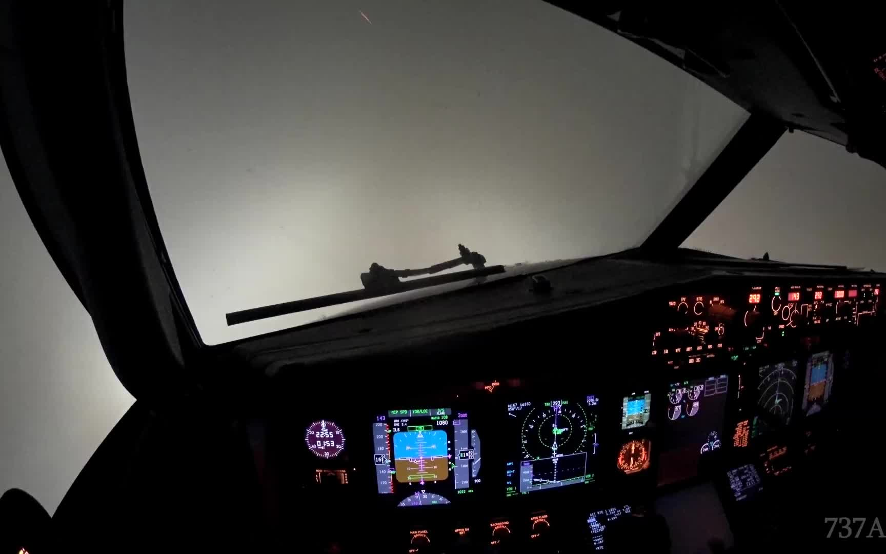 【iii类盲降】波音737-800夜间浓雾降落驾驶舱视角