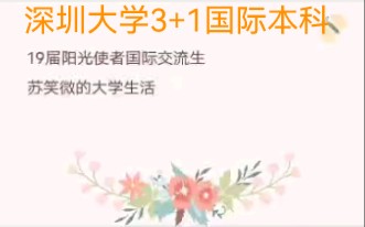 深圳大学3+1国际本科(韩国方向)哔哩哔哩bilibili