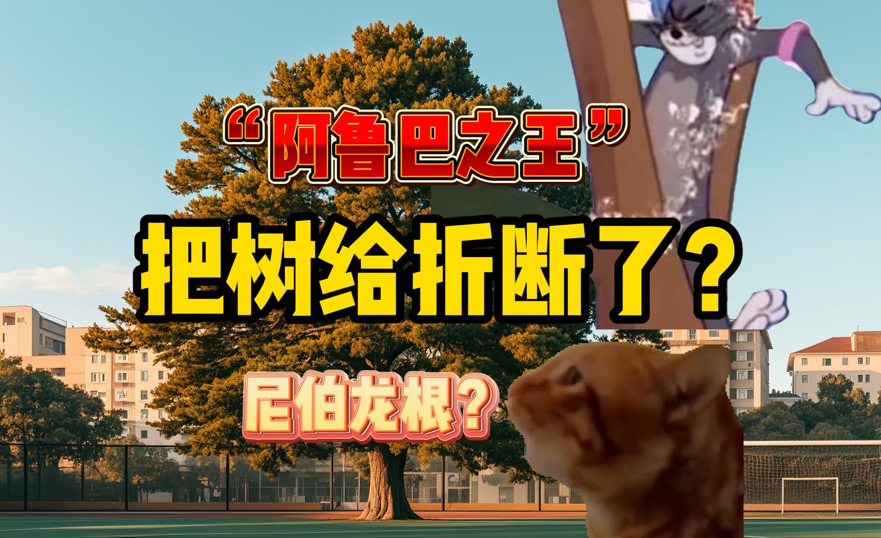用"阿鲁巴"折断大树后班长大秘密暴露【猫meme】
