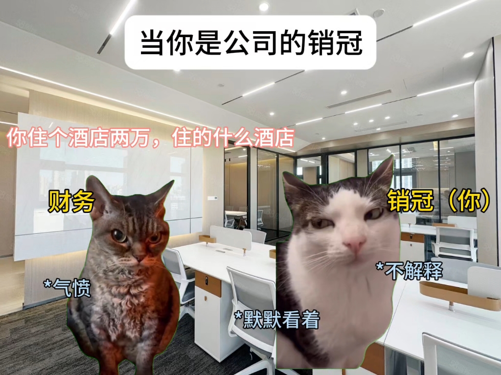 猫me之当你是公司销冠哔哩哔哩bilibili