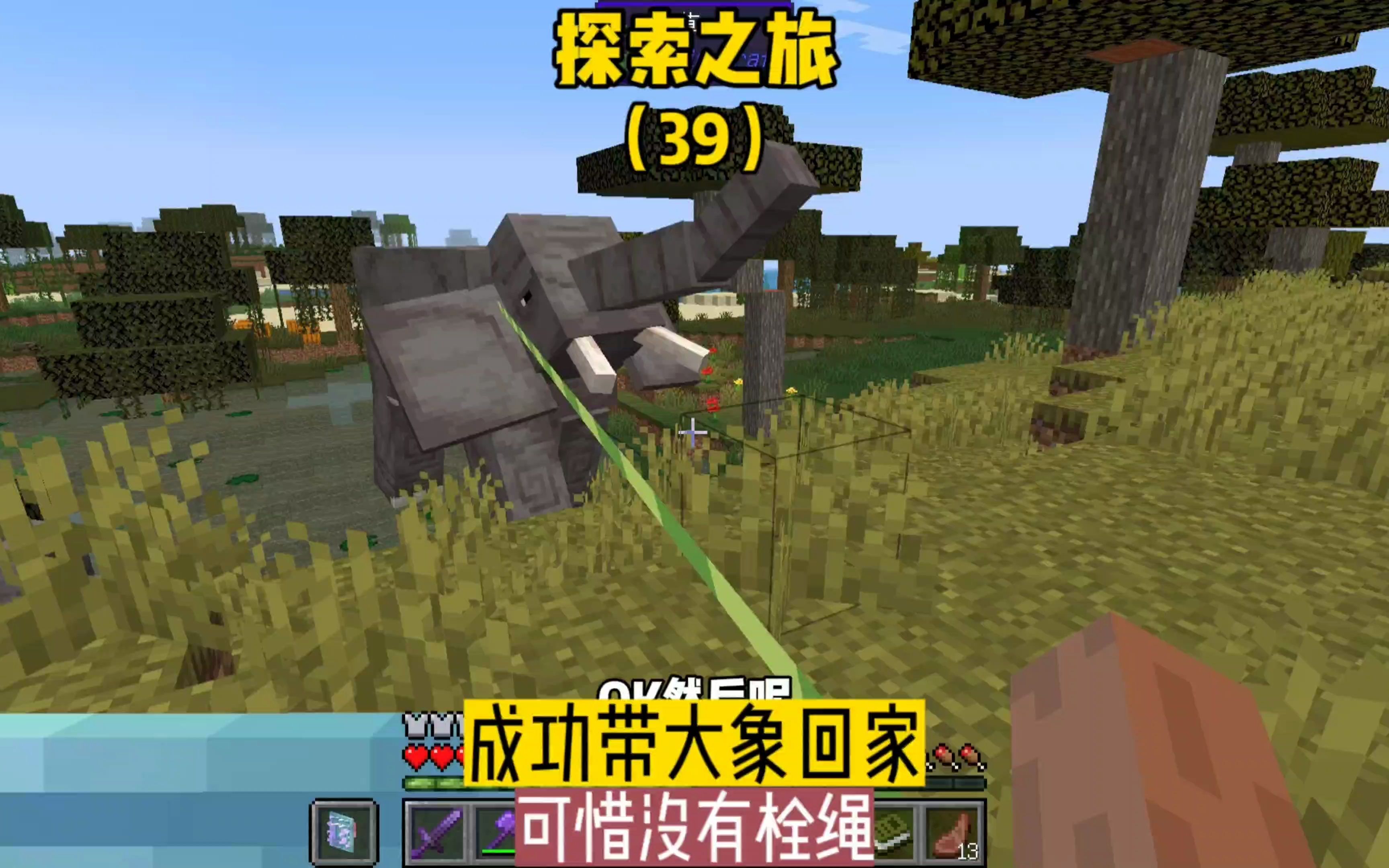 探索之旅(39):成功带大象回家,可惜没有拴绳