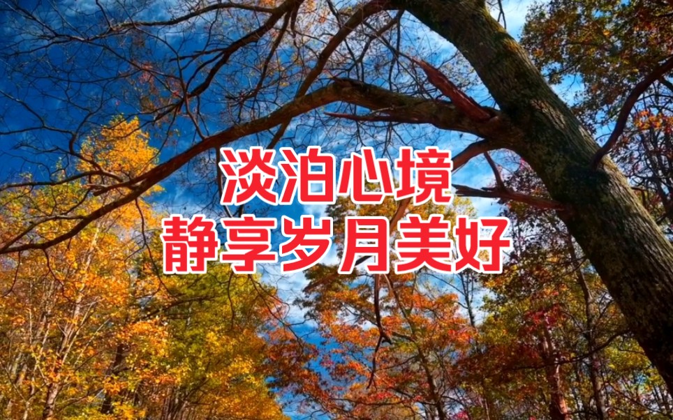 淡泊心境,静享岁月美好