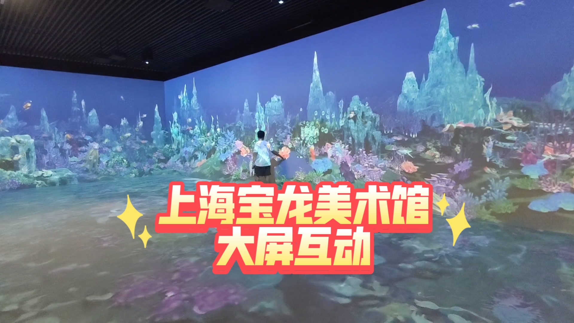 【大屏互动】上海宝龙美术馆