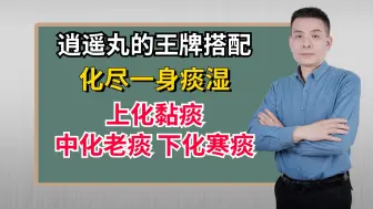 Download Video: 逍遥丸的王牌搭配，化尽一身痰湿，上化黏痰，中化老痰，下化寒痰