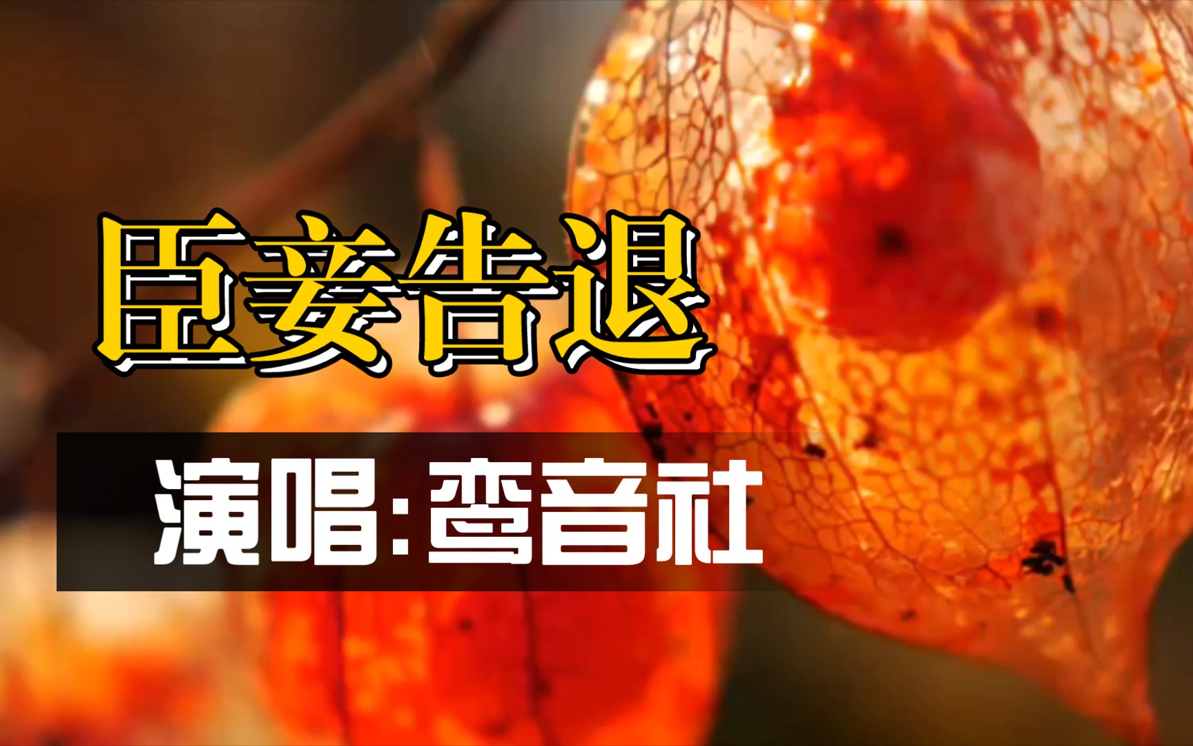 鸾音社演唱《臣妾告退》希望2022的日子,三餐四季,温柔有趣