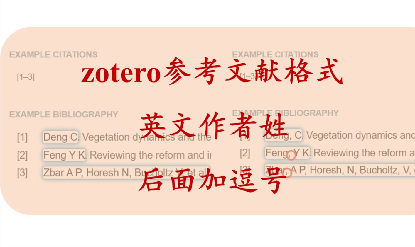 【zotero编辑CSL】英文文献作者姓后面加逗号哔哩哔哩bilibili