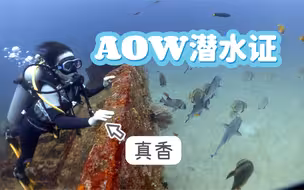 AOW考证记录……菲律宾初潜潜水