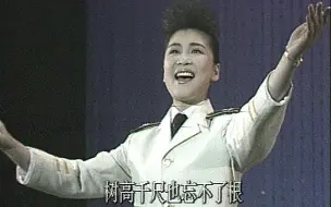 Download Video: 范琳琳首唱《父老乡亲》(1990军民迎新春晚会)