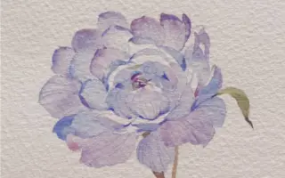 水彩花卉 哔哩哔哩 Bilibili