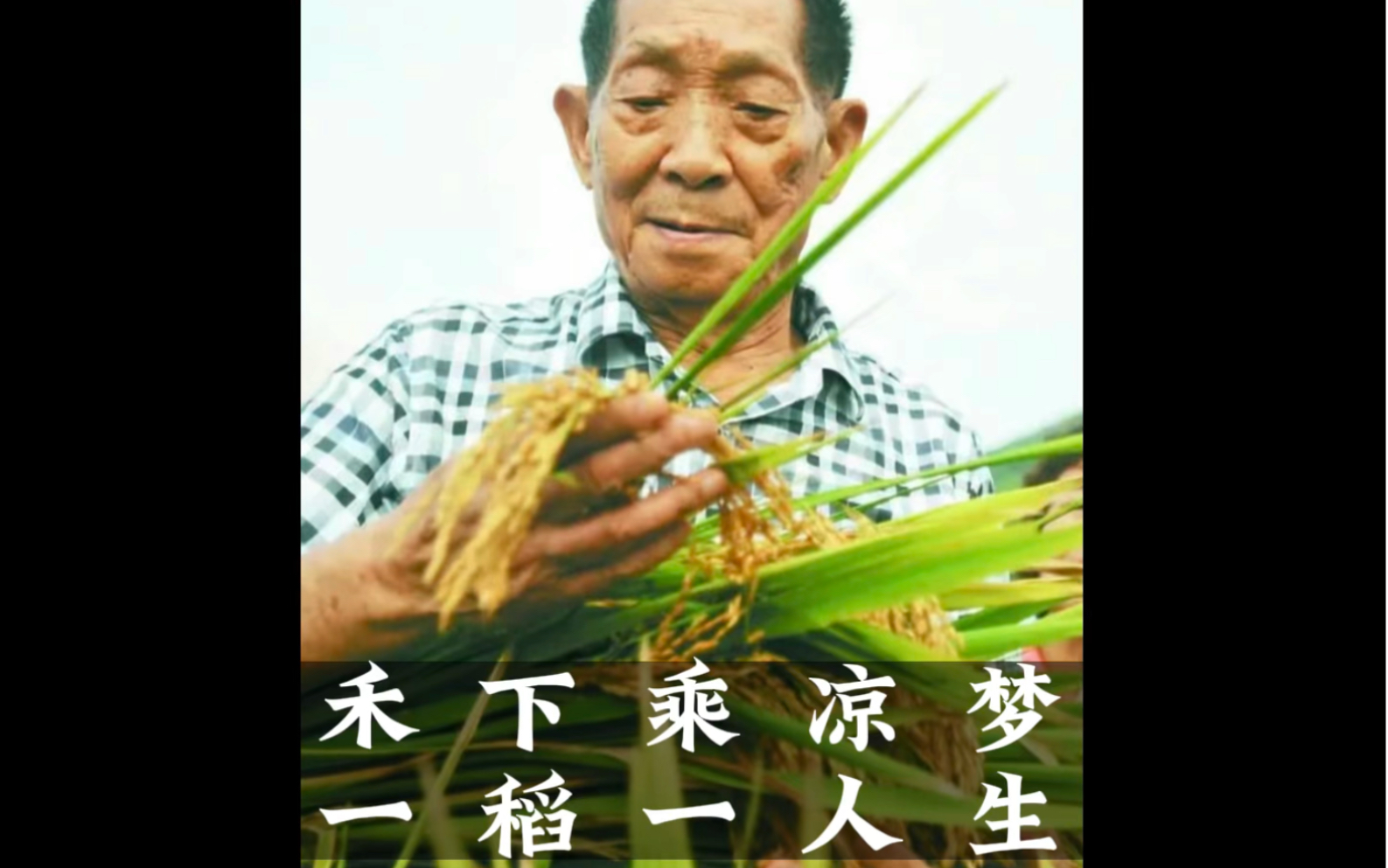 "禾下乘凉梦 一稻一人生"