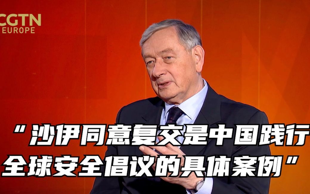 [图]斯洛文尼亚前总统：沙特、伊朗同意复交是中国践行全球安全倡议的具体案例