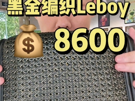 香奈儿Leboy￥8600哔哩哔哩bilibili