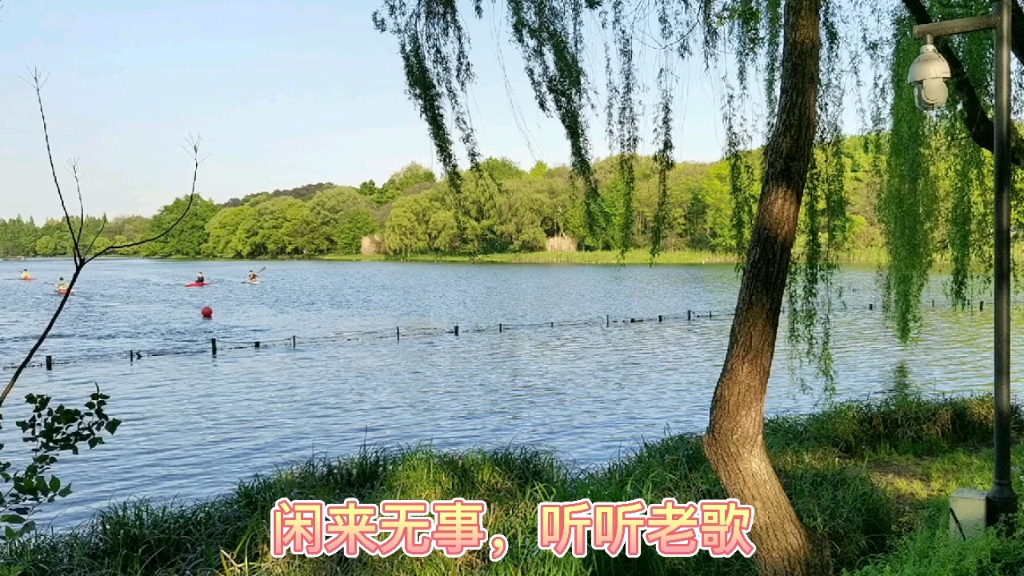 [图]看着风景听听老歌，王袁，其实我很在乎你