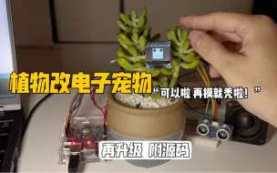 Télécharger la video: 把植物改造成电子宠物 和我互动，持续升级中…附了个源码 感兴趣的也可以diy试试