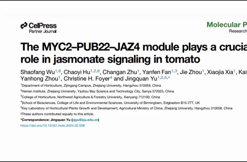 一区杂志 27分Molecular Plant 番茄中MYC2PUB22JAZ4模块在JA茉莉酸信号中发挥作用哔哩哔哩bilibili