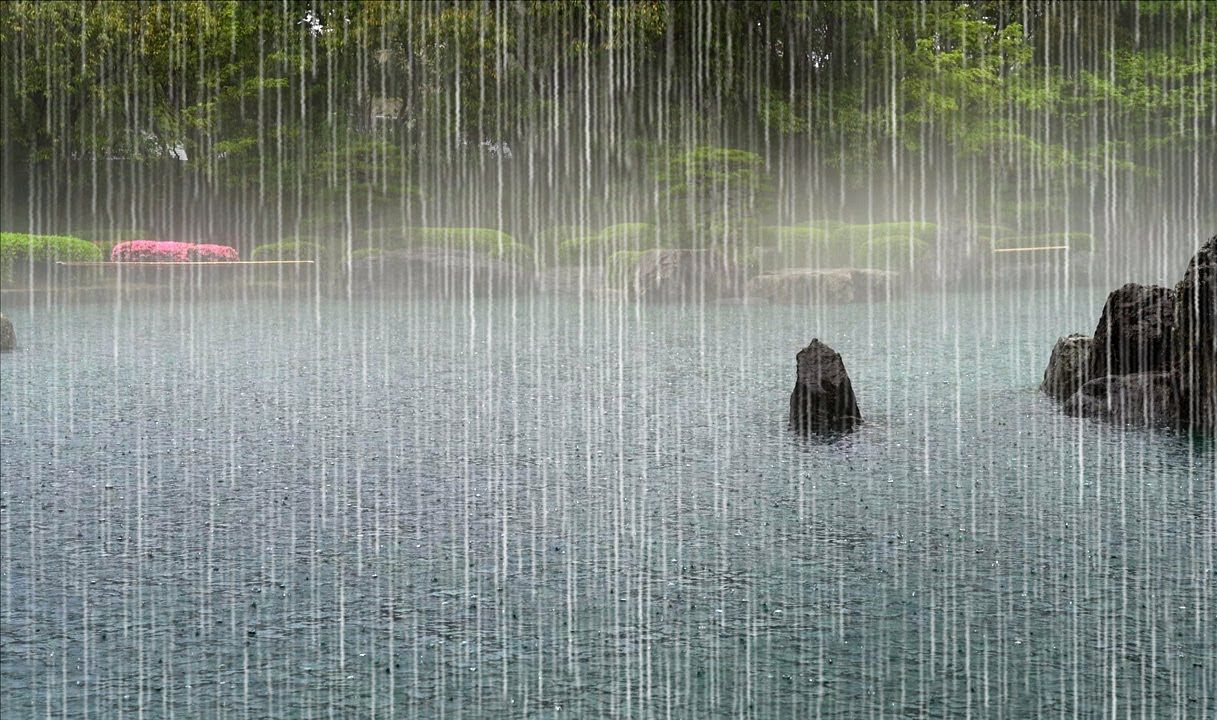 【真实雨声】雨落在雾蒙蒙的池塘上哔哩哔哩bilibili