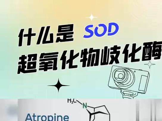 极早健康:什么是sod超氧化物歧化酶?一个视频了解透彻sod哔哩哔哩bilibili