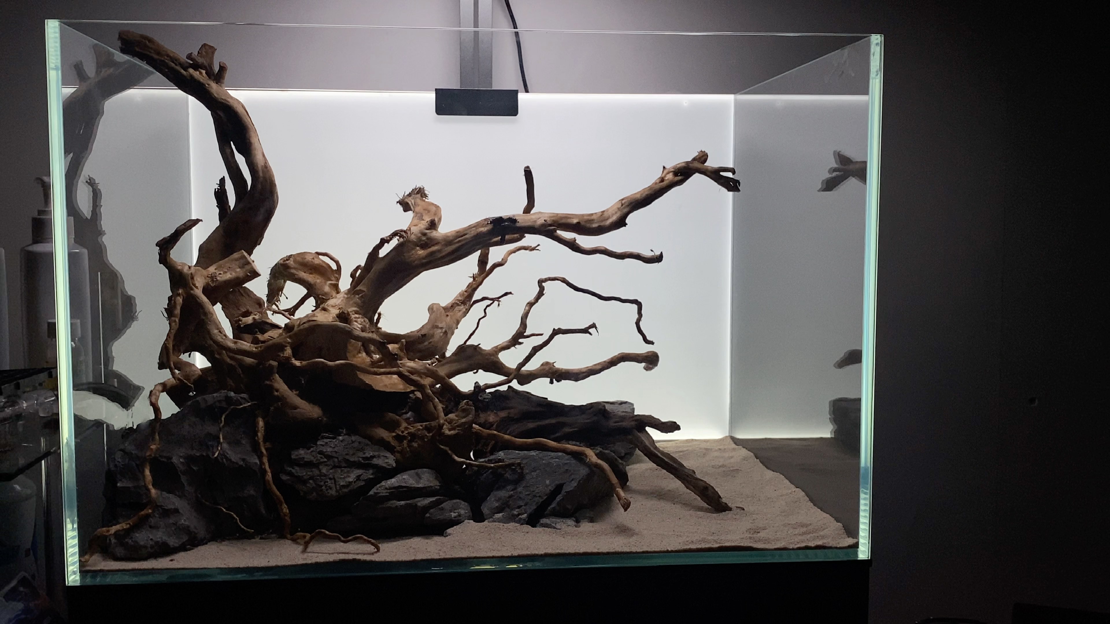 60草缸骨架造景等待种草