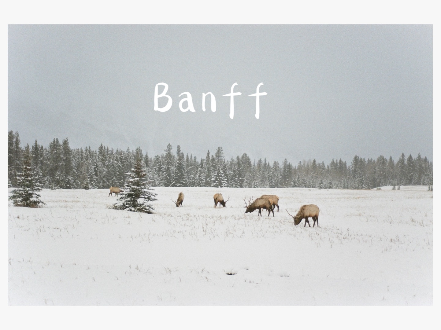 胶片旅行|加拿大banff国家公园|26度的雪天|落基山脉哔哩哔哩bilibili