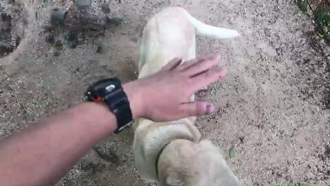 ぶらり園内散歩 Ymd 東武動物公園 哔哩哔哩 Bilibili ぶらり園内散歩 Ymd 東武動物公園 哔哩哔哩 Bilibili