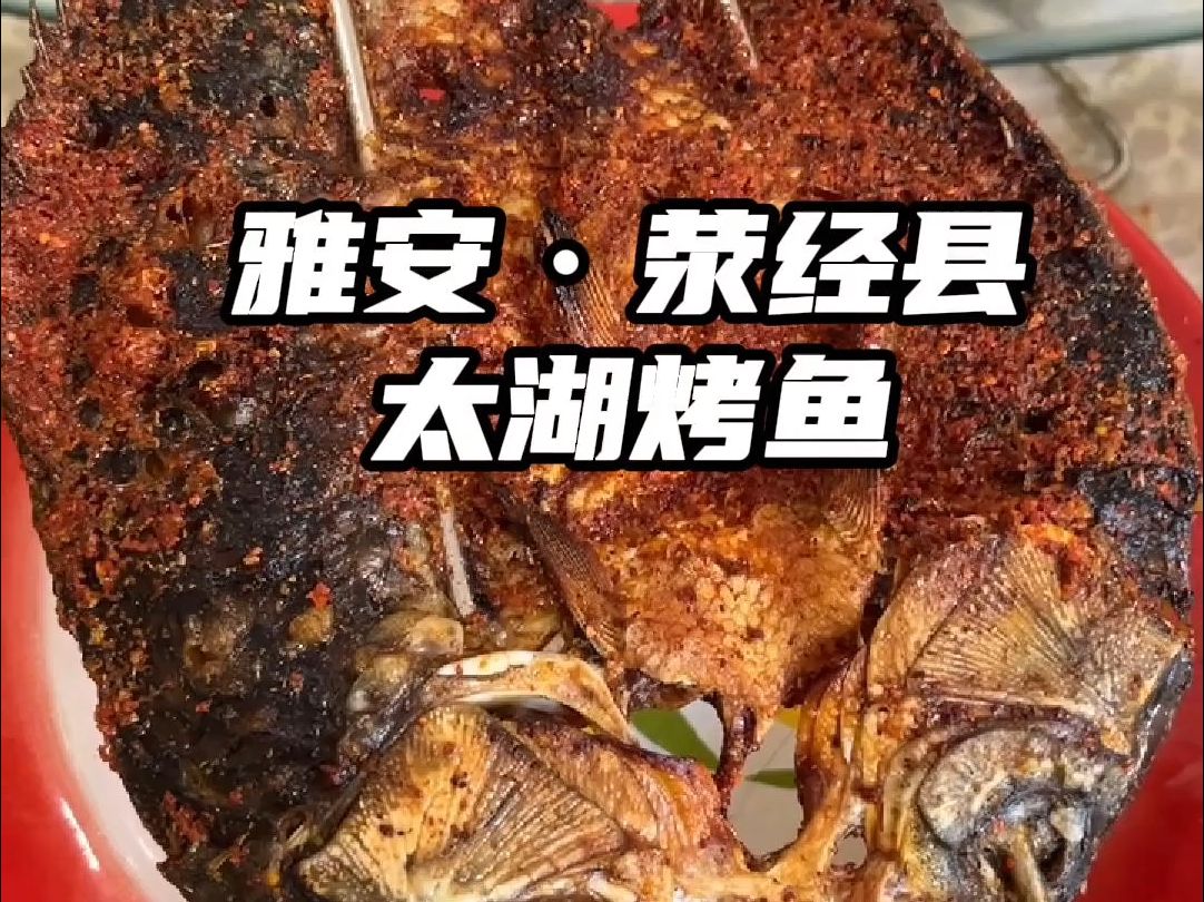 打卡雅安特色美食太湖烤鱼和棒棒鸡,烤鱼一人一大串,太香啦.哔哩哔哩bilibili