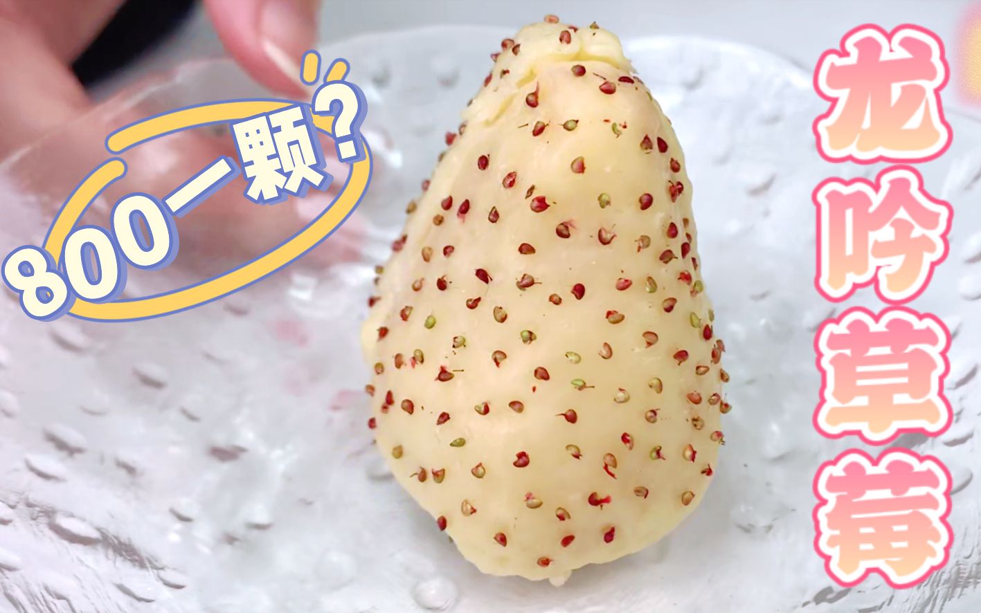 就这?米其林800一颗的龙吟草莓,有手就行!