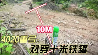 Descargar video: 不懂技巧硬上配置凑效，初试4020歪把子重弓十米对穿杀虫剂铁罐！可以媲美红牛罐子不？