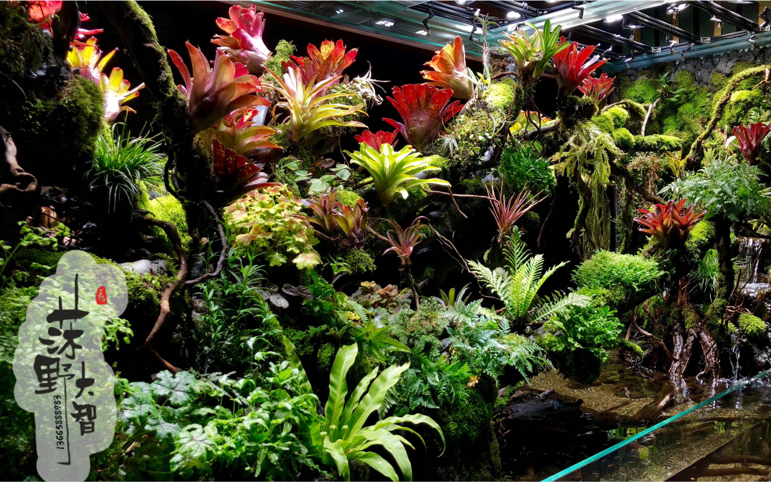 室内热带雨林景观制作图片
