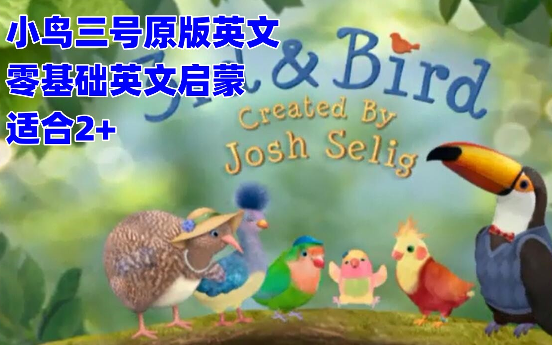 小鸟用英语怎么说 他们是小鸟用英语怎么说