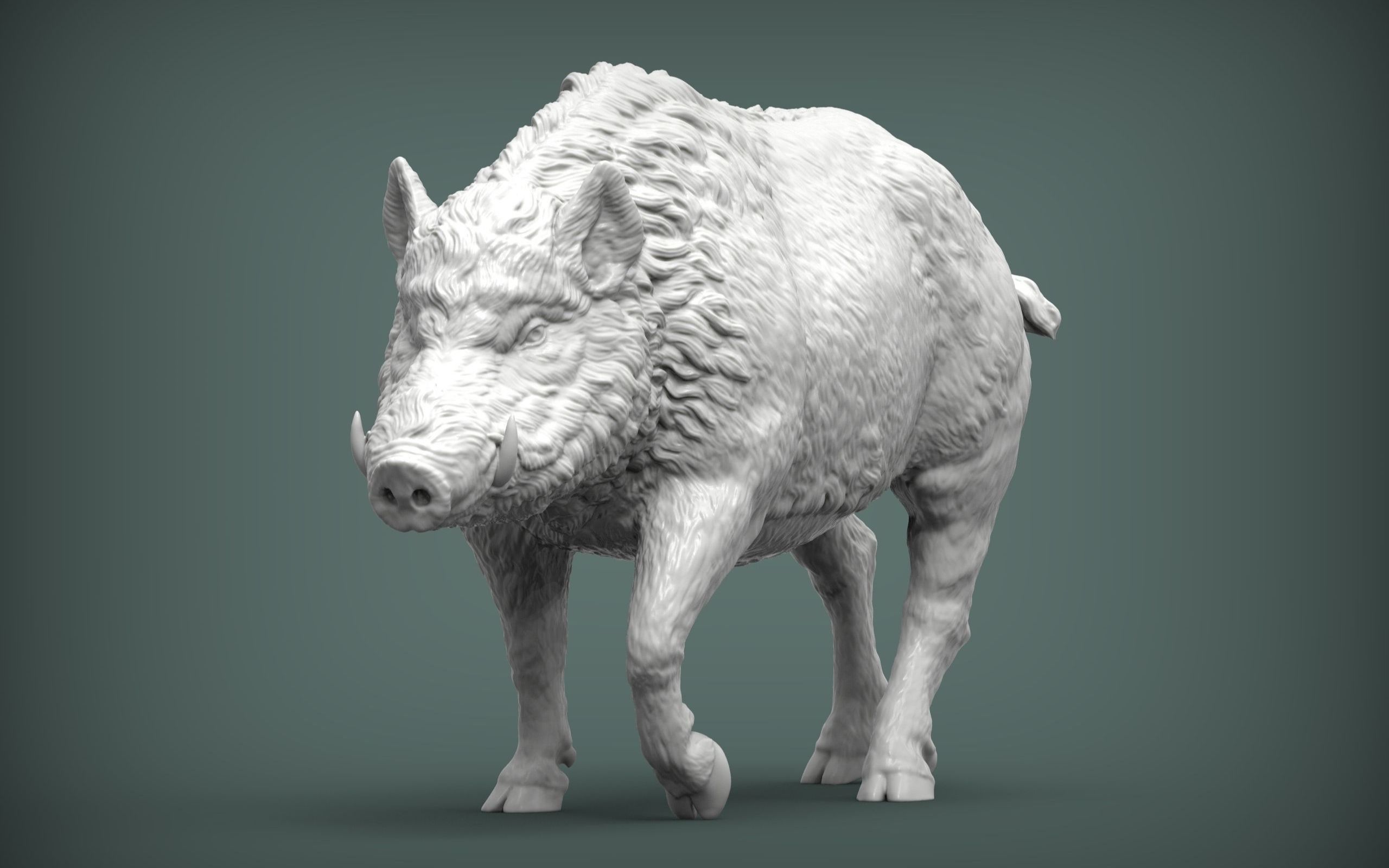 zbrush野猪动物雕刻参考资料,zbrush雕刻资料