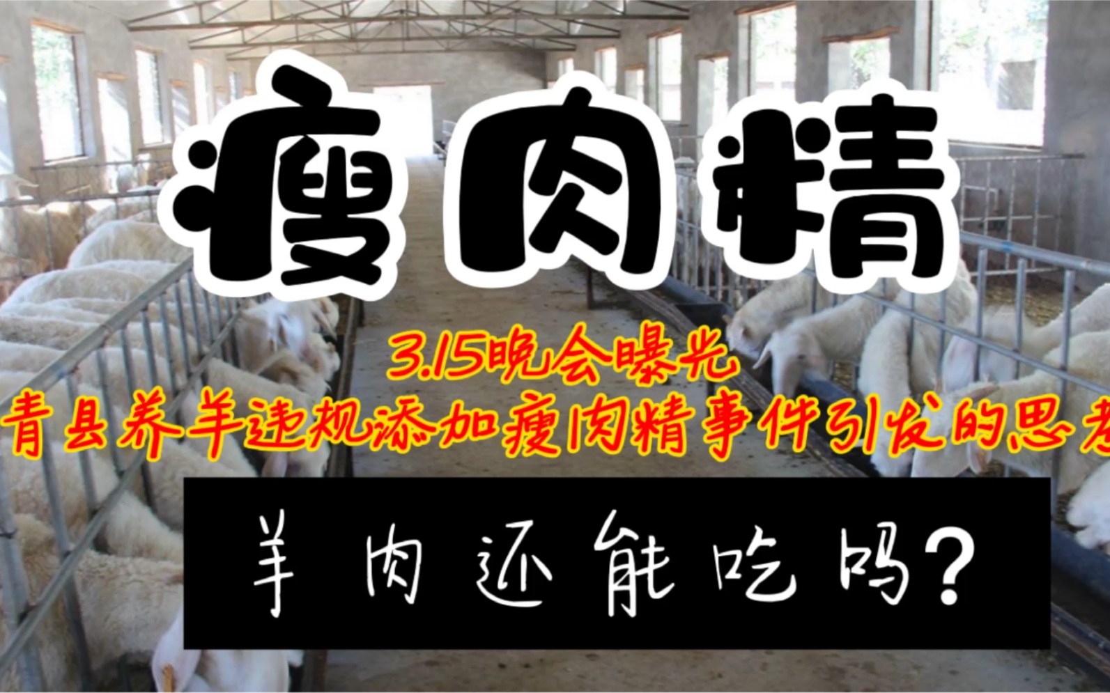 瘦肉精曝光羊肉还能吃吗