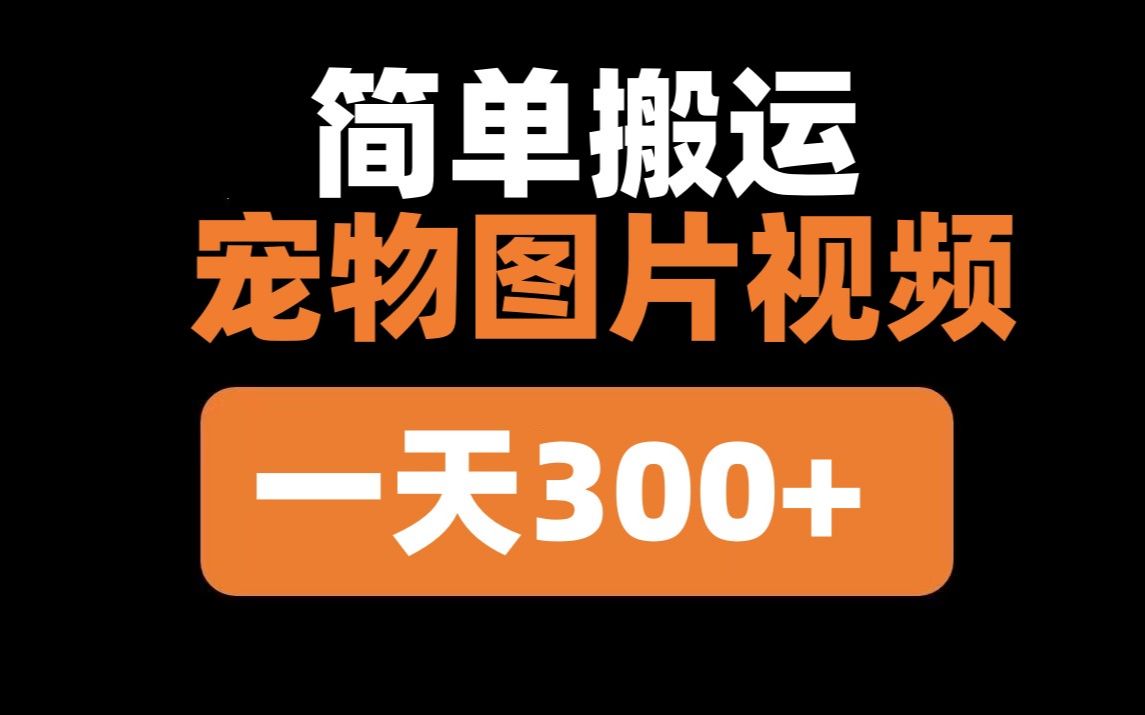 无脑搬运宠物图片,稳定日入300+多劳多得,小白可随时上手.哔哩哔哩bilibili