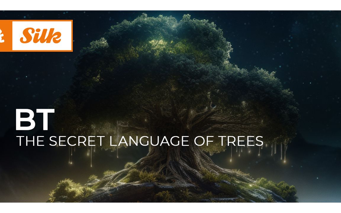 BT  The Secret Language of Trees [Monstercat Silk]哔哩哔哩bilibili