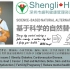 What is Shengli Health鸡蛋视频的前奏