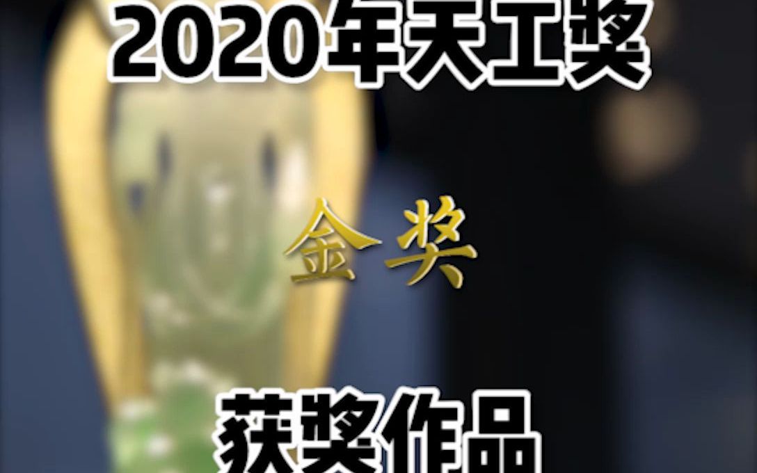 2020年天工奖金奖获奖作品,一起来看看吧!哔哩哔哩bilibili