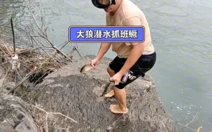 Tải video: 鳜鱼顶流了大狼潜水抓大班鳜旁边钓友惊呆了