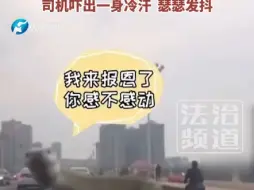 Download Video: 被吓到了！挡风玻璃惊现2米大蛇，司机吓出一审冷汗 瑟瑟发抖