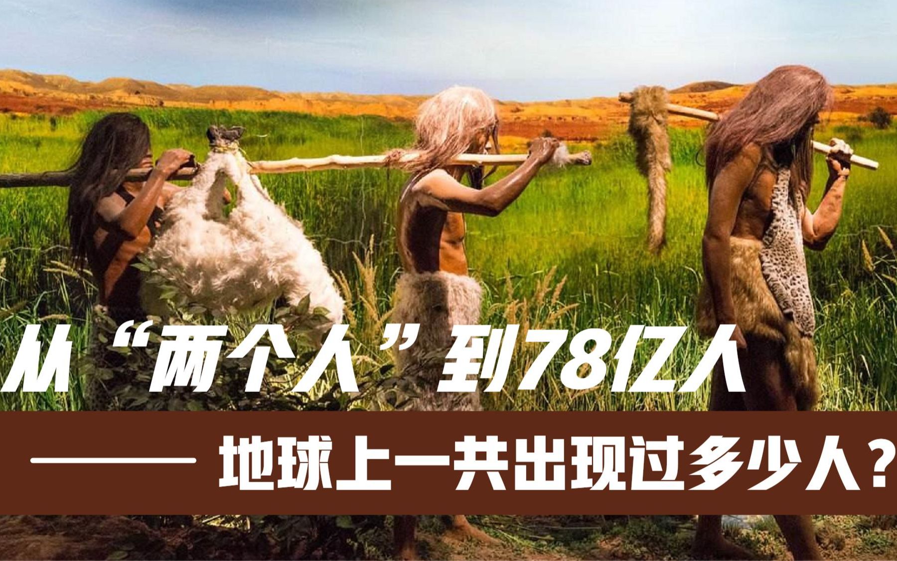 从曾经的“两个人”到如今的78亿人,地球上一共出现过多少人?哔哩哔哩bilibili