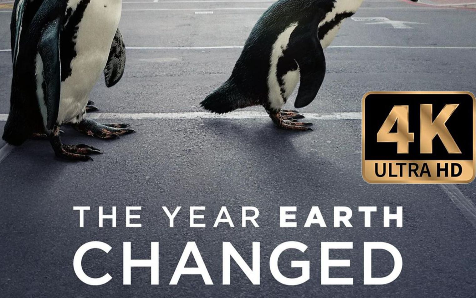4k中英 地球改变之年(the year earth changed)