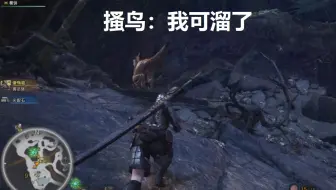 Mhw 成为猎人的第二步是拒绝大胸 豺龙 哔哩哔哩 Bilibili