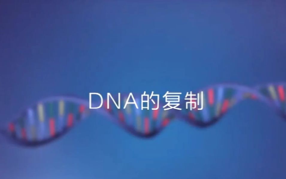 [图]DNA的复制过程（中文解说+中英双字幕）