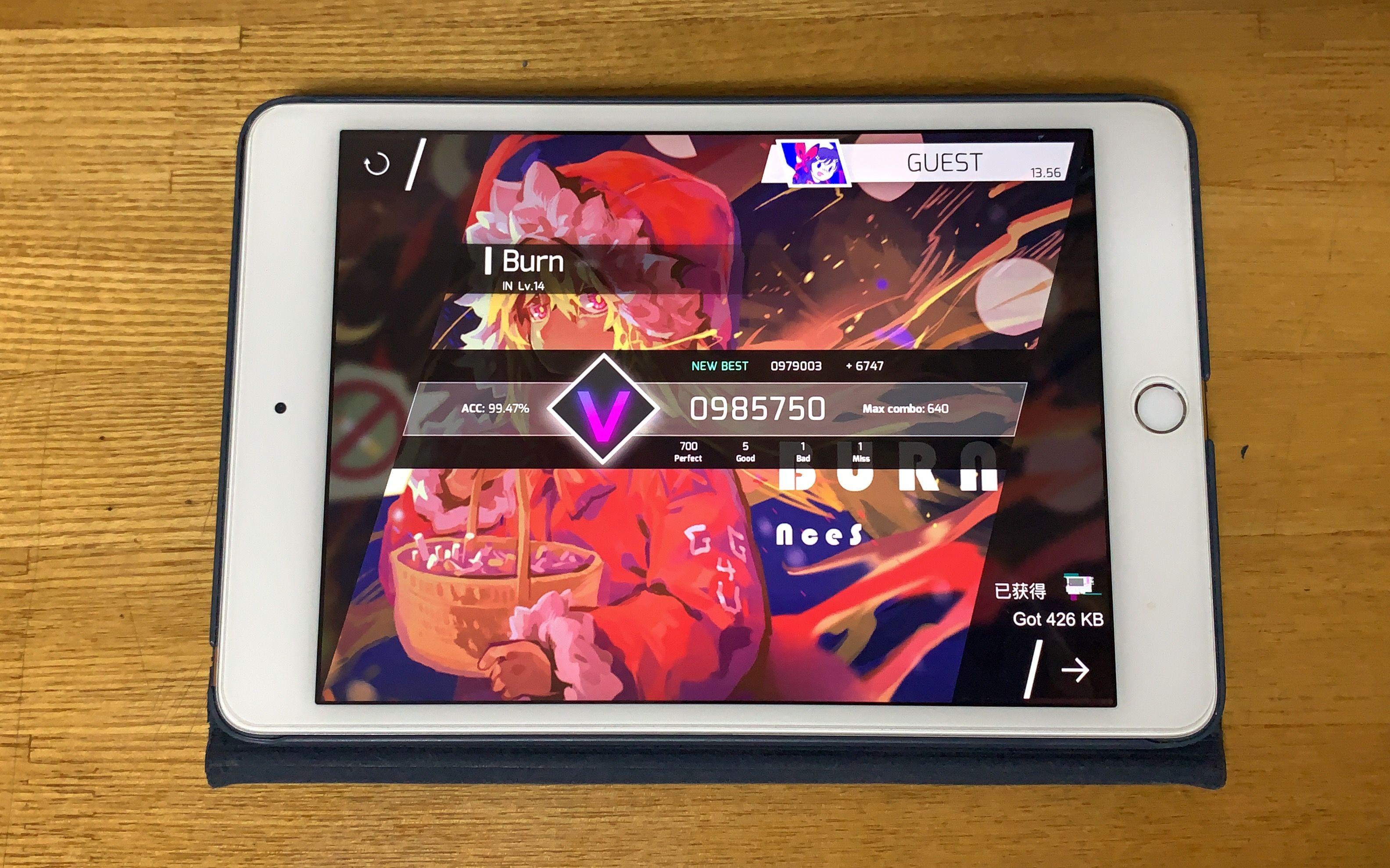 phigrosburninlv14v评价手元