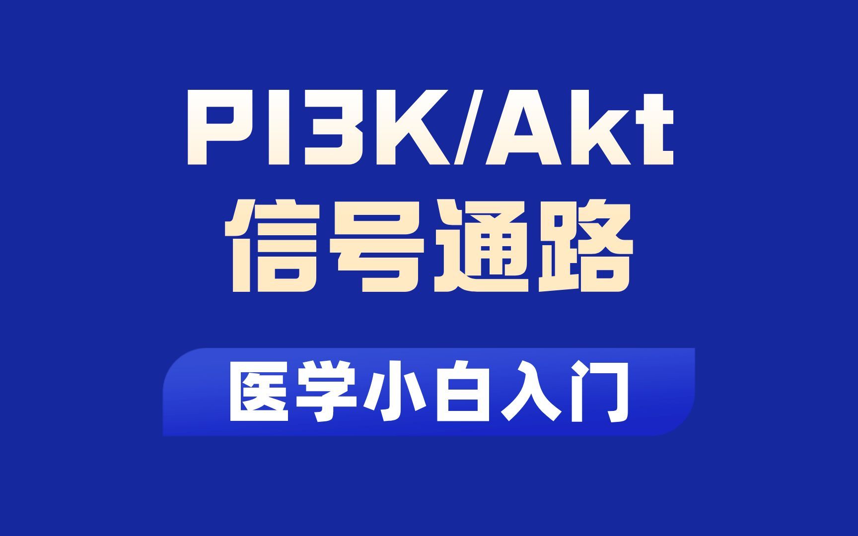 PI3K/AKT信号通路系统讲解哔哩哔哩bilibili