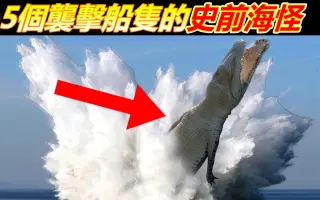 海洋怪物 搜索结果 哔哩哔哩 Bilibili