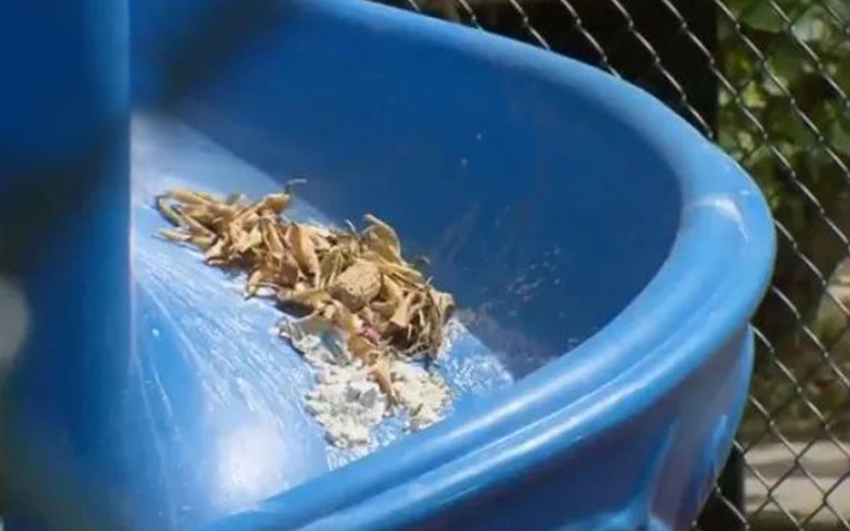 窗前空地成儿童乐园老夫妻为求安静频繁往滑梯上倾倒污物