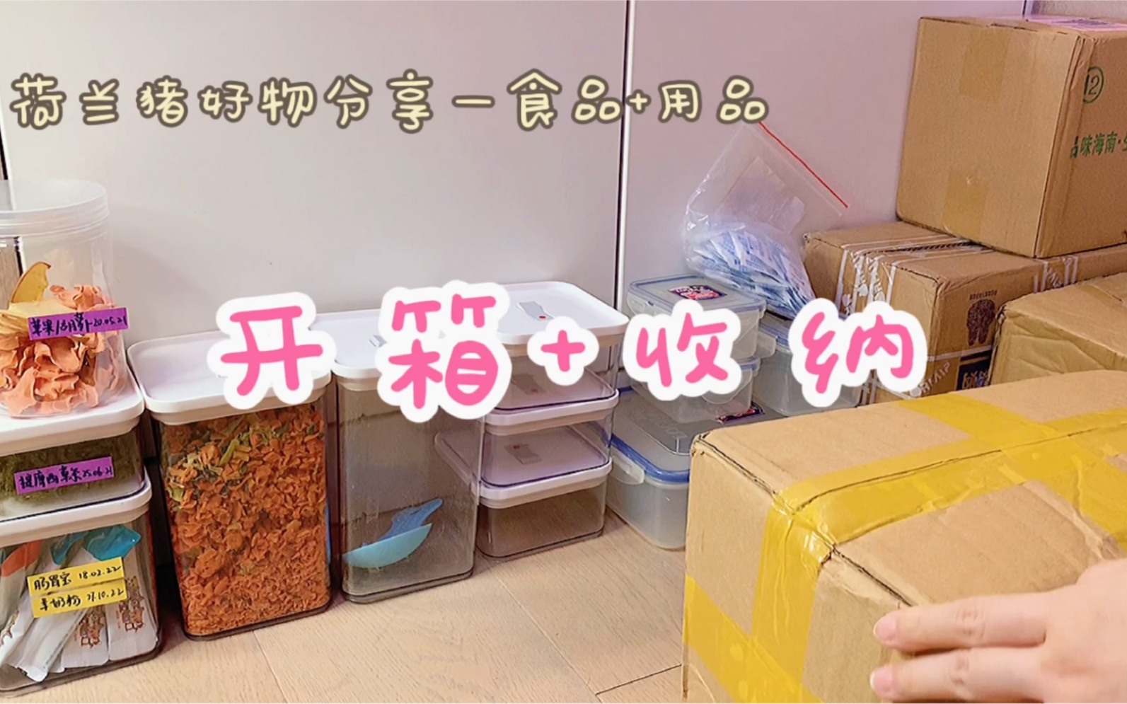 Ep.30【开箱收纳】荷兰猪好物分享——食品+用品哔哩哔哩bilibili